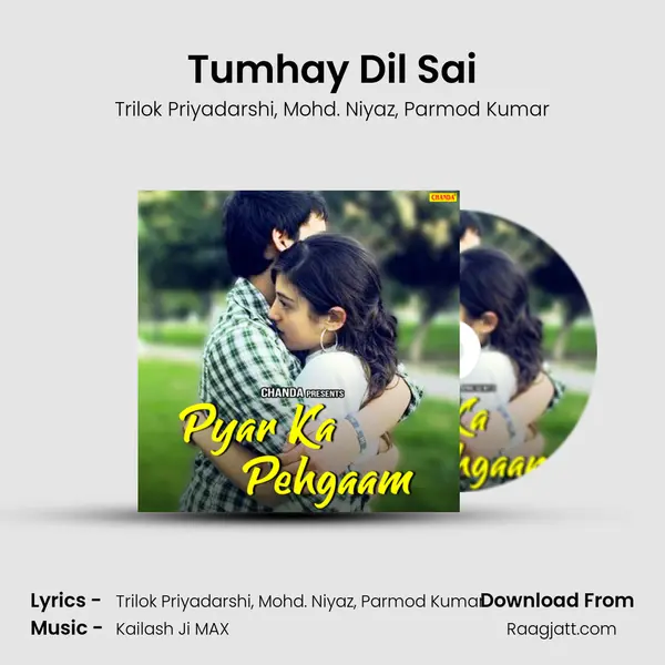 Tumhay Dil Sai mp3 song