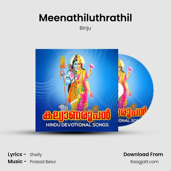 Meenathiluthrathil - Binju album cover 