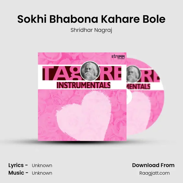 Sokhi Bhabona Kahare Bole - Shridhar Nagraj album cover 