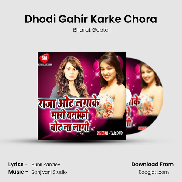 Dhodi Gahir Karke Chora mp3 song