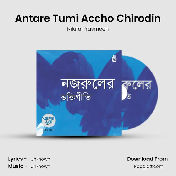 Antare Tumi Accho Chirodin - Nilufar Yasmeen album cover 