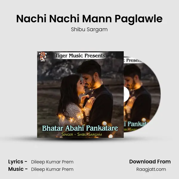 Nachi Nachi Mann Paglawle mp3 song