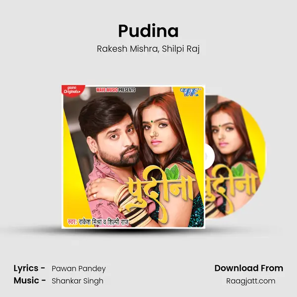 Pudina - Rakesh Mishra album cover 