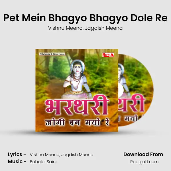 Pet Mein Bhagyo Bhagyo Dole Re - Vishnu Meena album cover 