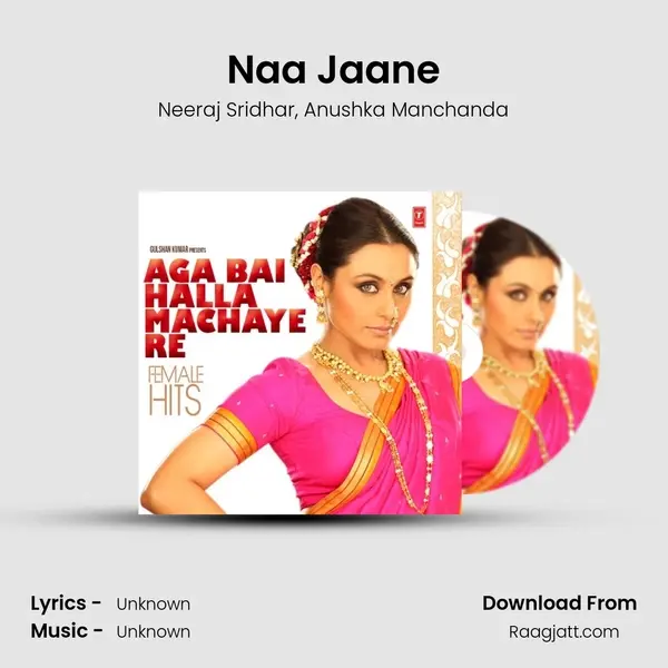 Naa Jaane - Neeraj Sridhar album cover 