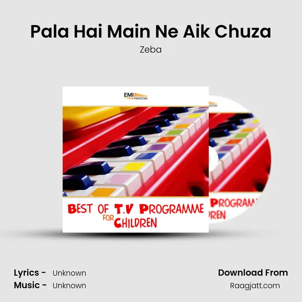 Pala Hai Main Ne Aik Chuza mp3 song