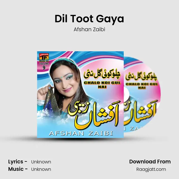 Dil Toot Gaya - Afshan Zaibi album cover 