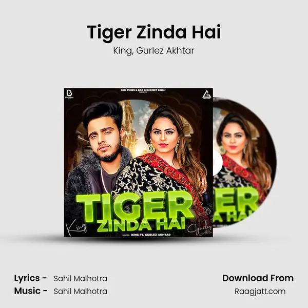 Tiger Zinda Hai mp3 song