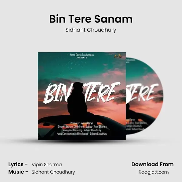 Bin Tere Sanam - Sidhant Choudhury album cover 