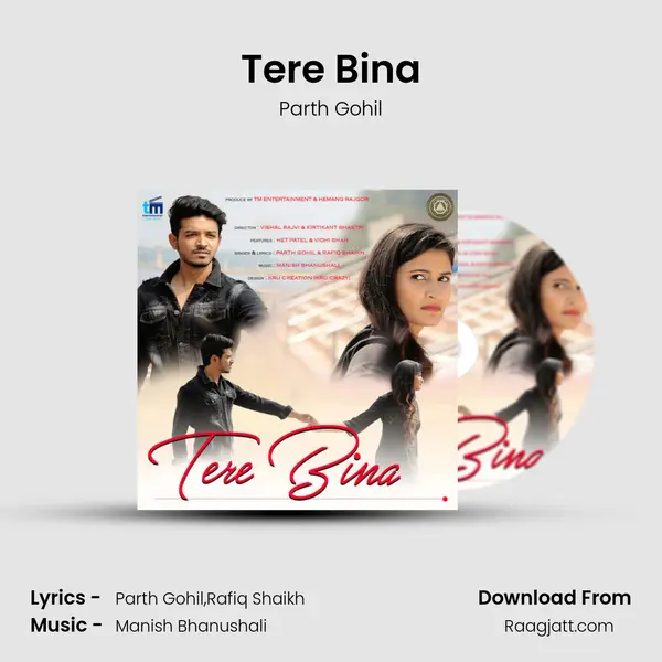 Tere Bina - Parth Gohil album cover 