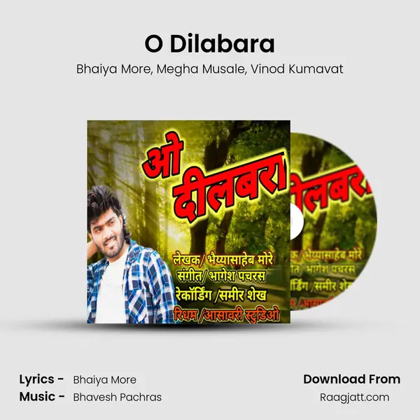 O Dilabara - Bhaiya More album cover 