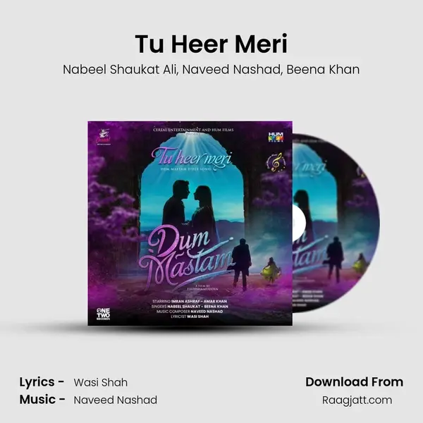 Tu Heer Meri - Nabeel Shaukat Ali album cover 