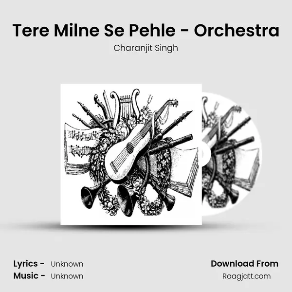 Tere Milne Se Pehle - Orchestra - Charanjit Singh album cover 