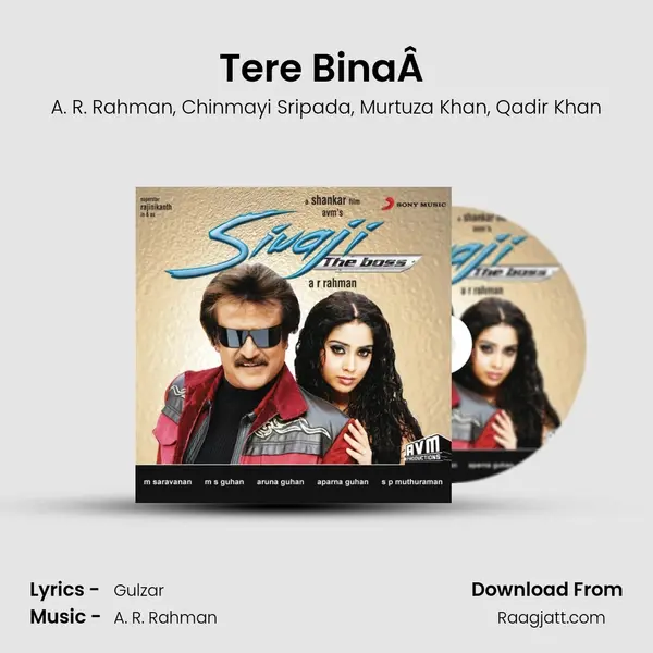 Tere BinaÂ  mp3 song