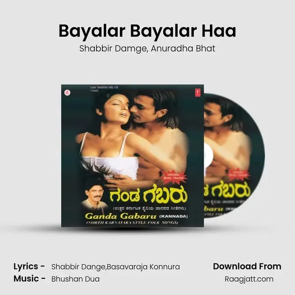 Bayalar Bayalar Haa - Shabbir Damge album cover 