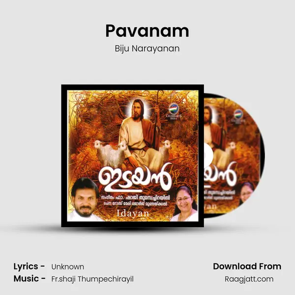 Pavanam - Biju Narayanan album cover 