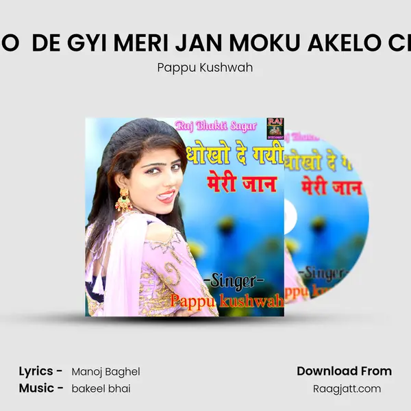 DHOKHO  DE GYI MERI JAN MOKU AKELO CHHODO mp3 song