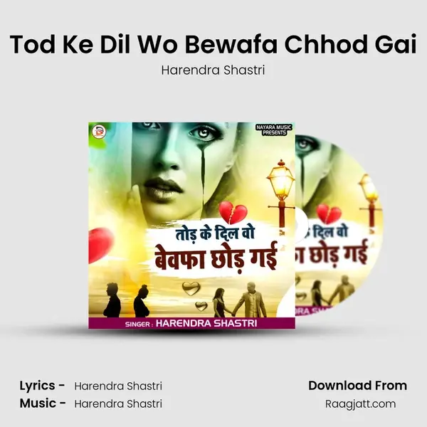 Tod Ke Dil Wo Bewafa Chhod Gai - Harendra Shastri album cover 