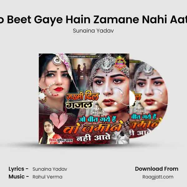 Jo Beet Gaye Hain Zamane Nahi Aate mp3 song