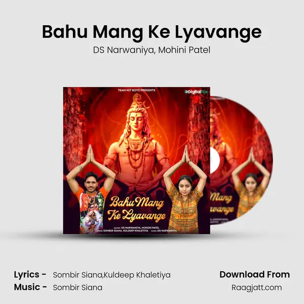 Bahu Mang Ke Lyavange - DS Narwaniya album cover 