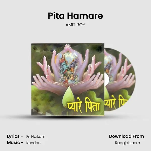 Pita Hamare - AMIT ROY album cover 