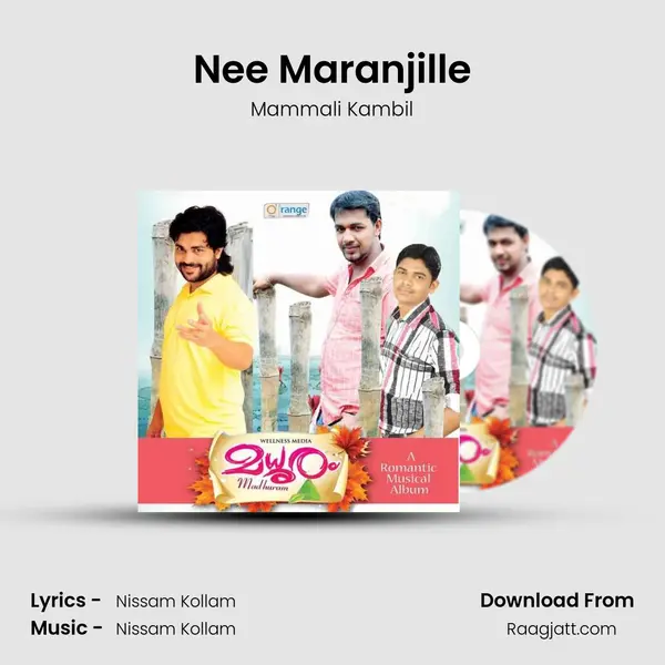 Nee Maranjille - Mammali Kambil album cover 