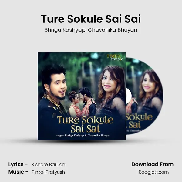 Ture Sokule Sai Sai - Bhrigu Kashyap album cover 