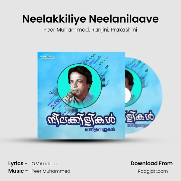 Neelakkiliye Neelanilaave - Peer Muhammed album cover 