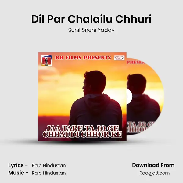 Dil Par Chalailu Chhuri - Sunil Snehi Yadav album cover 