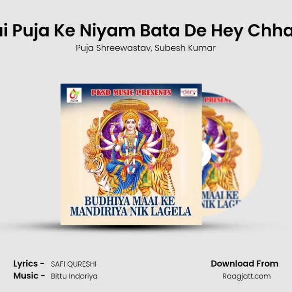 Kaise Hai Puja Ke Niyam Bata De Hey Chhati Maiya - Puja Shreewastav album cover 