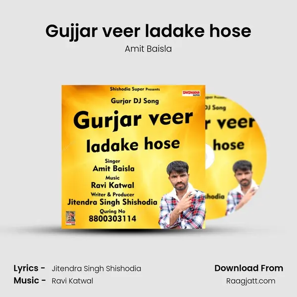 Gujjar veer ladake hose - Amit Baisla album cover 