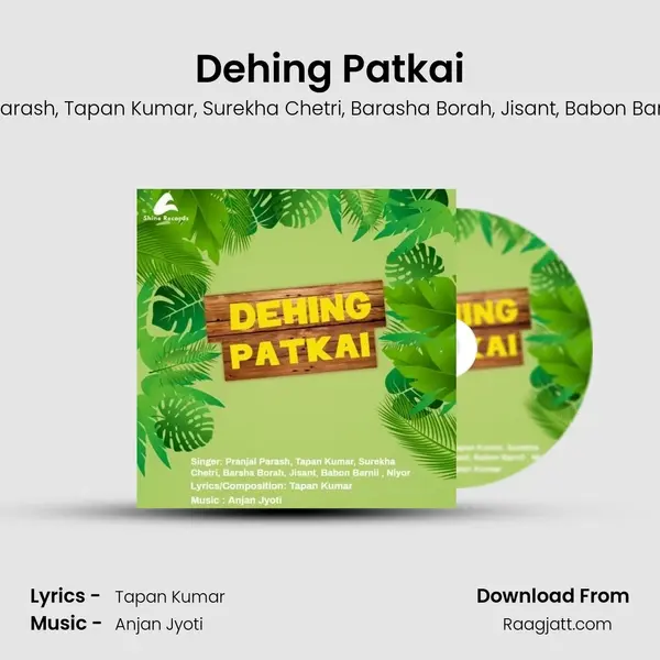 Dehing Patkai mp3 song