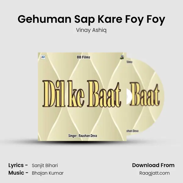 Gehuman Sap Kare Foy Foy - Vinay Ashiq album cover 