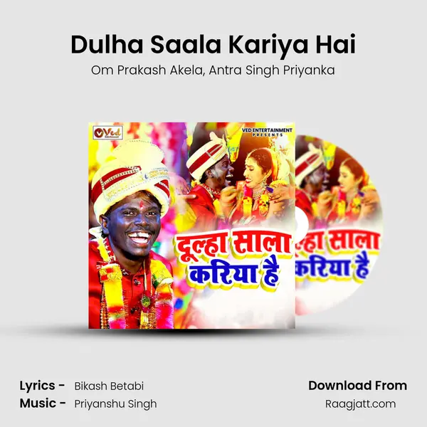 Dulha Saala Kariya Hai mp3 song