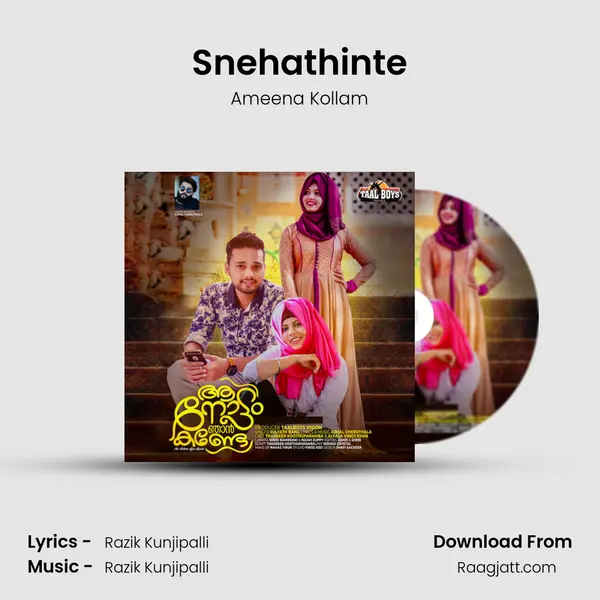 Snehathinte - Ameena Kollam album cover 