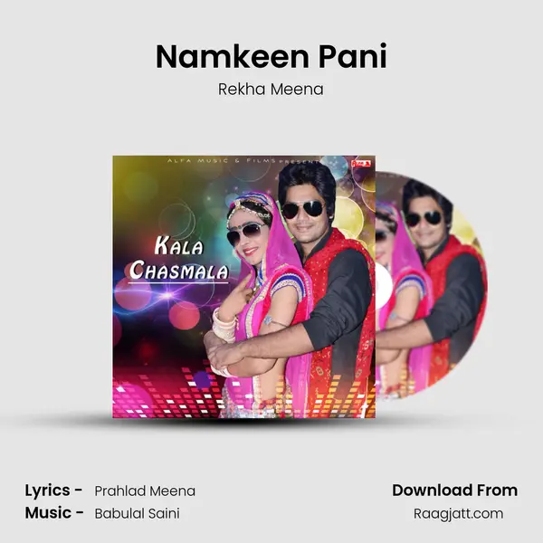 Namkeen Pani - Rekha Meena album cover 