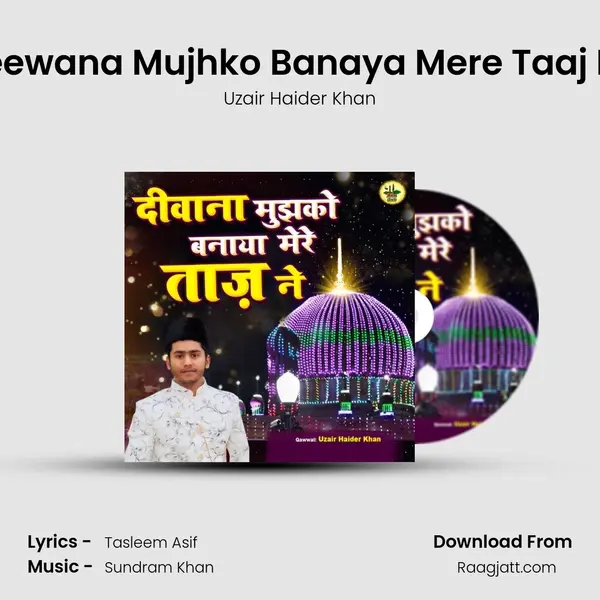 Deewana Mujhko Banaya Mere Taaj Ne - Uzair Haider Khan album cover 