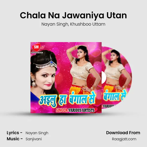 Chala Na Jawaniya Utan - Nayan Singh album cover 