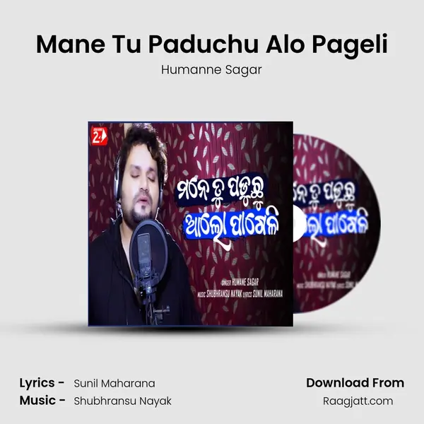 Mane Tu Paduchu Alo Pageli - Humanne Sagar album cover 