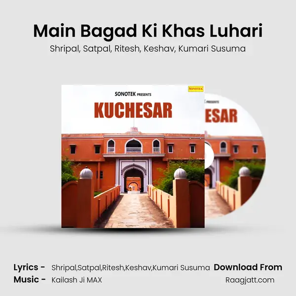 Main Bagad Ki Khas Luhari - Shripal album cover 