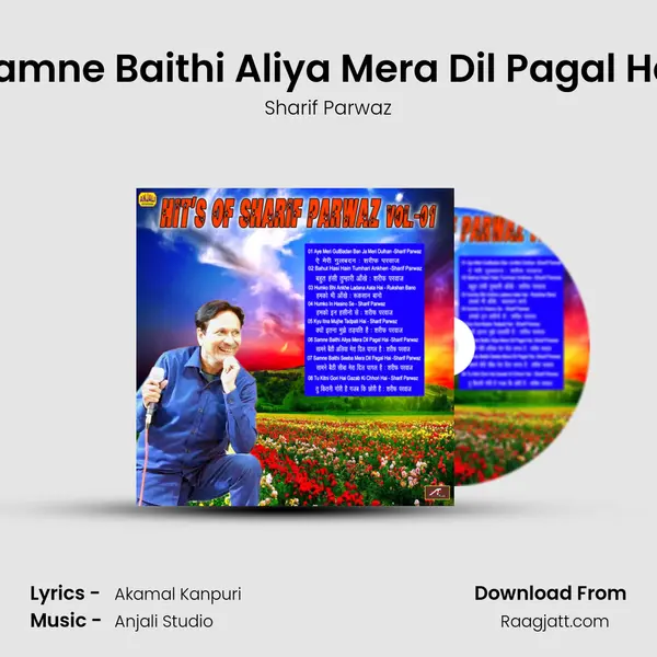 Samne Baithi Aliya Mera Dil Pagal Hai mp3 song