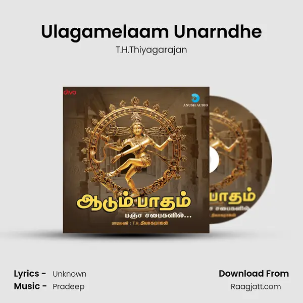 Ulagamelaam Unarndhe - T.H.Thiyagarajan mp3 song