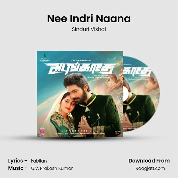 Nee Indri Naana - Sinduri Vishal album cover 