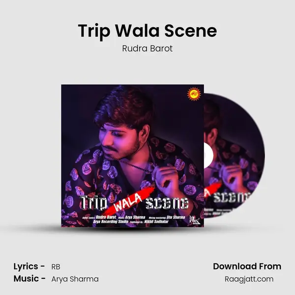 Trip Wala Scene - Rudra Barot album cover 