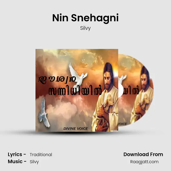 Nin Snehagni - Silvy album cover 