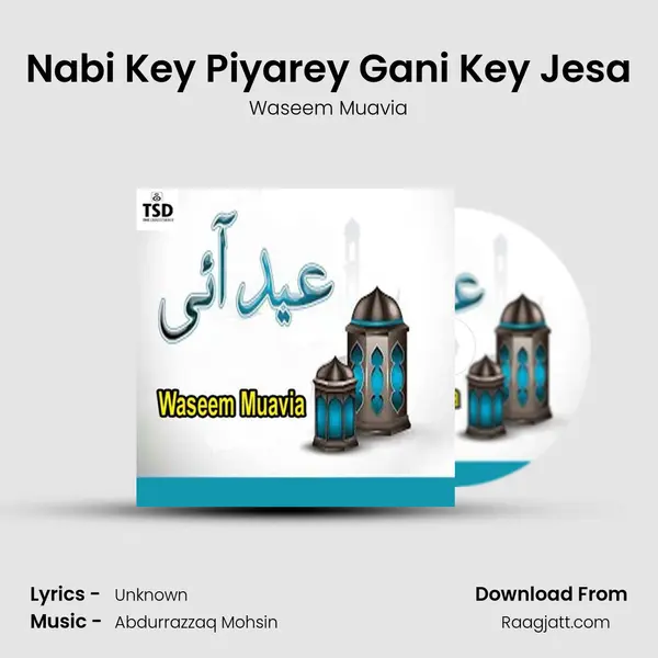 Nabi Key Piyarey Gani Key Jesa - Waseem Muavia album cover 