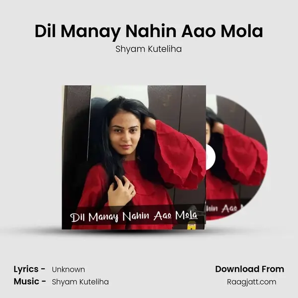 Dil Manay Nahin Aao Mola - Shyam Kuteliha album cover 