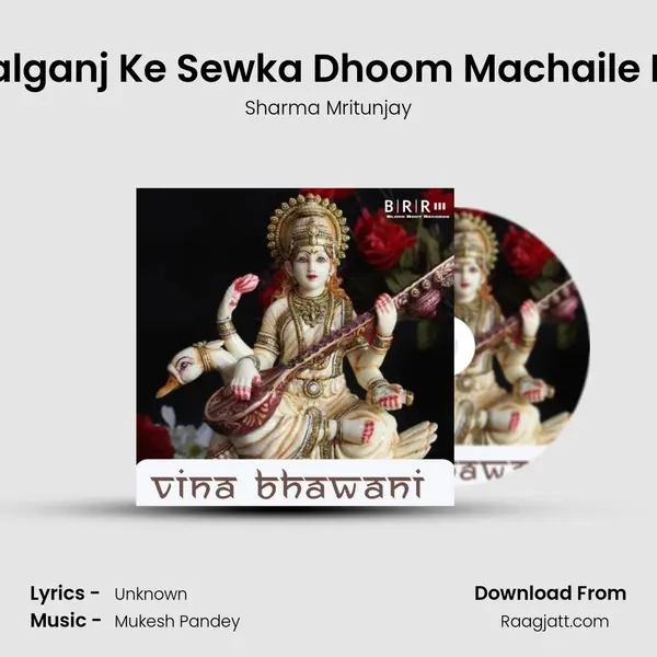 Dekha Gopalganj Ke Sewka Dhoom Machaile Ho Bade  Na mp3 song