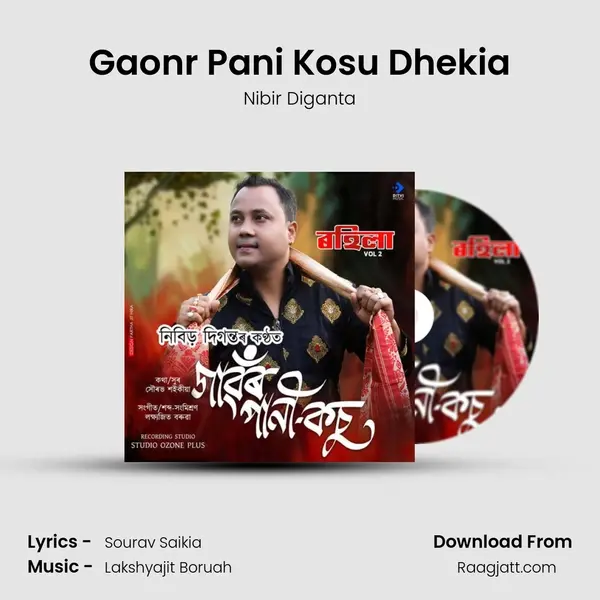 Gaonr Pani Kosu Dhekia - Nibir Diganta album cover 