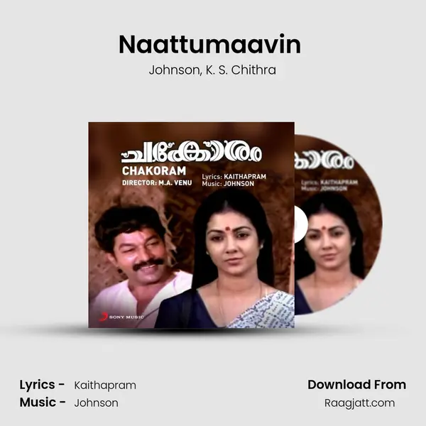 Naattumaavin (Version, 2) - Johnson album cover 